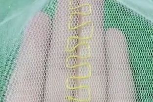 網紗衣物破損怎么辦？專業修補技巧與選購指南